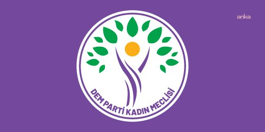 DEM Parti Kadın Meclisi: "Rojin Kabaiş cinayetinin aydınlatılması bu iktidarın kadınlara borcudur"