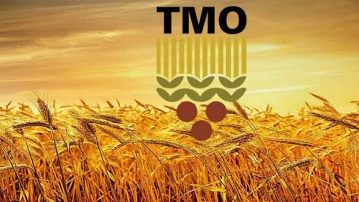 TMO, 2026-2027 dönemi fındık alım fiyatlarını açıkladı