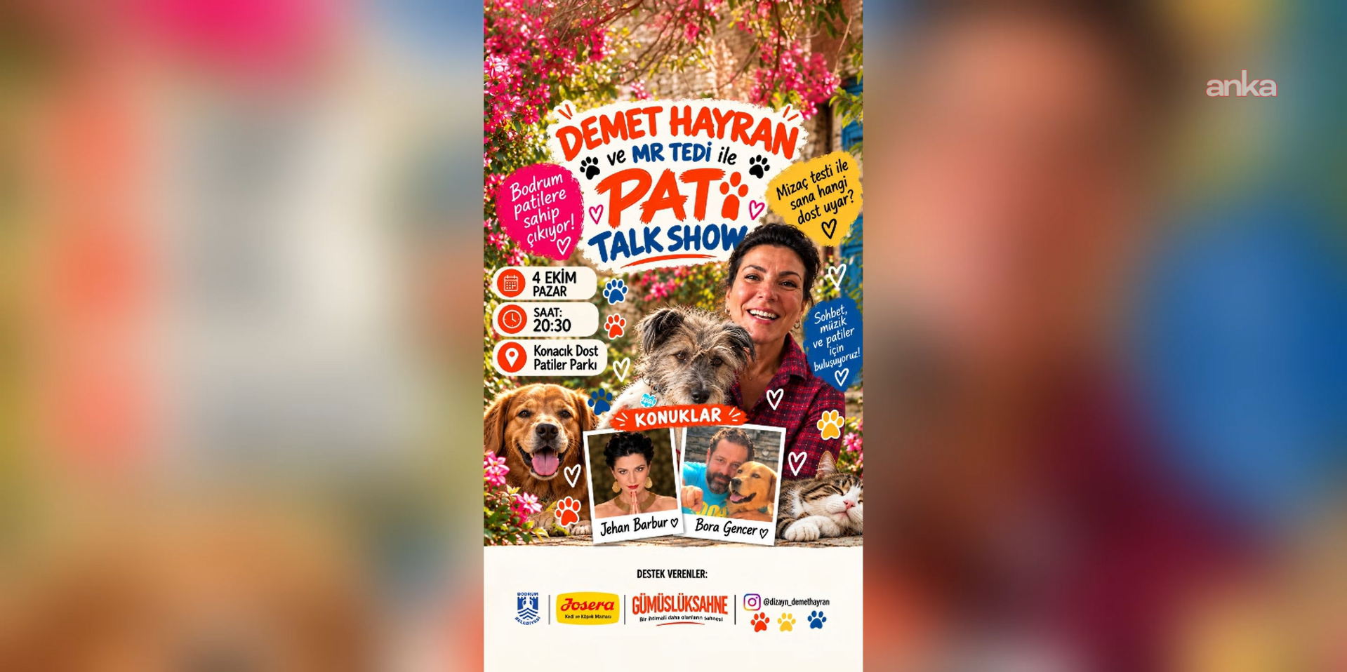 Bodrum’da “Pati Talk Show” ile doğru sahiplendirme anlatılacak