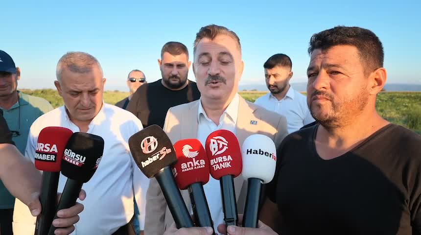 Bursa’da karpuz tarlada kaldı, üretici zarar etti