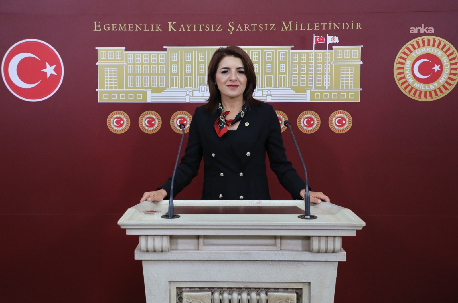 CHP'li Kış, narenciye üreticisinin sorunlarını Meclis gündemine taşıdı