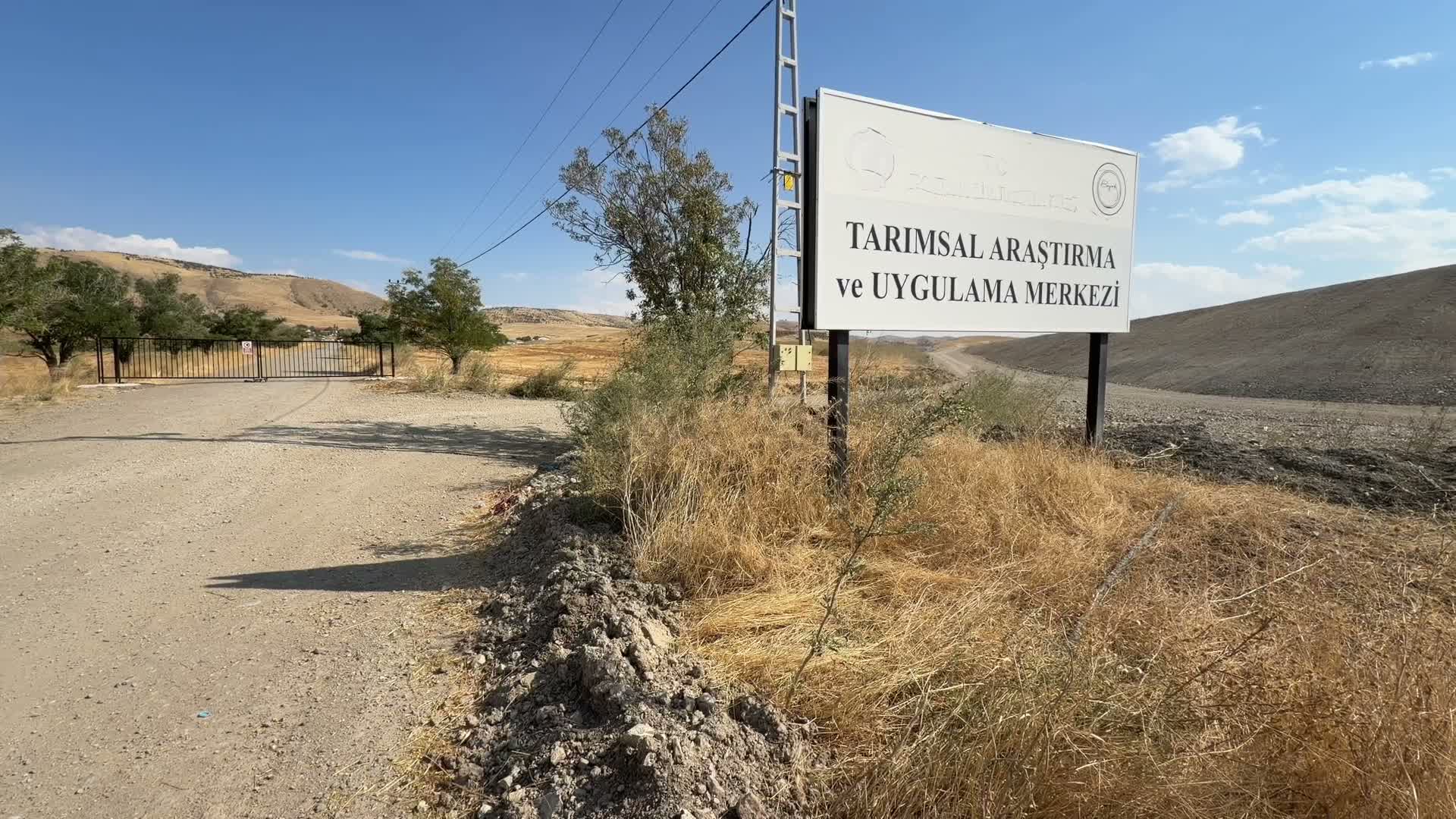 Yozgat Bozok Üniversitesi “etlik piliç” projesinde merkez oldu