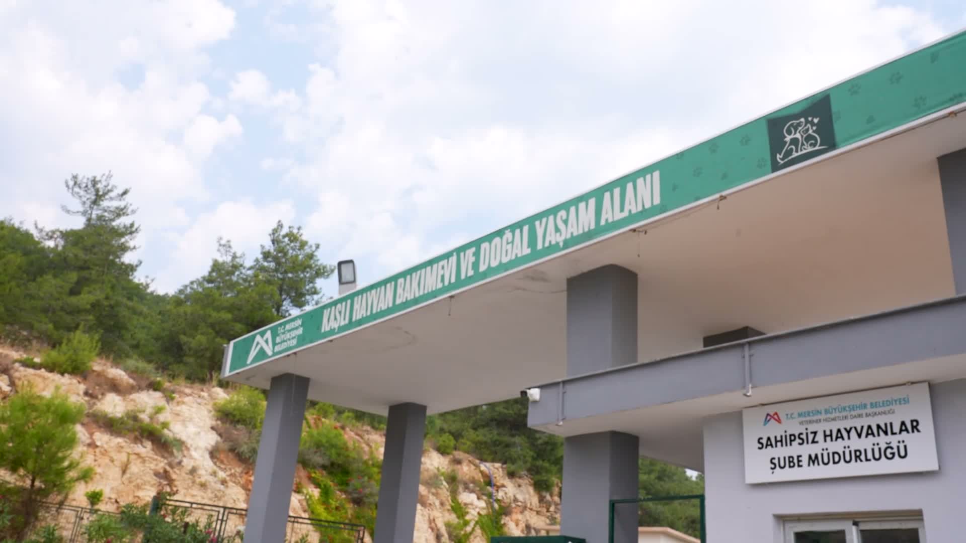 Mersin Büyükşehir Belediyesi Kaşlı Bakımevi’nde patili dostlar için anlamlı iş birliği