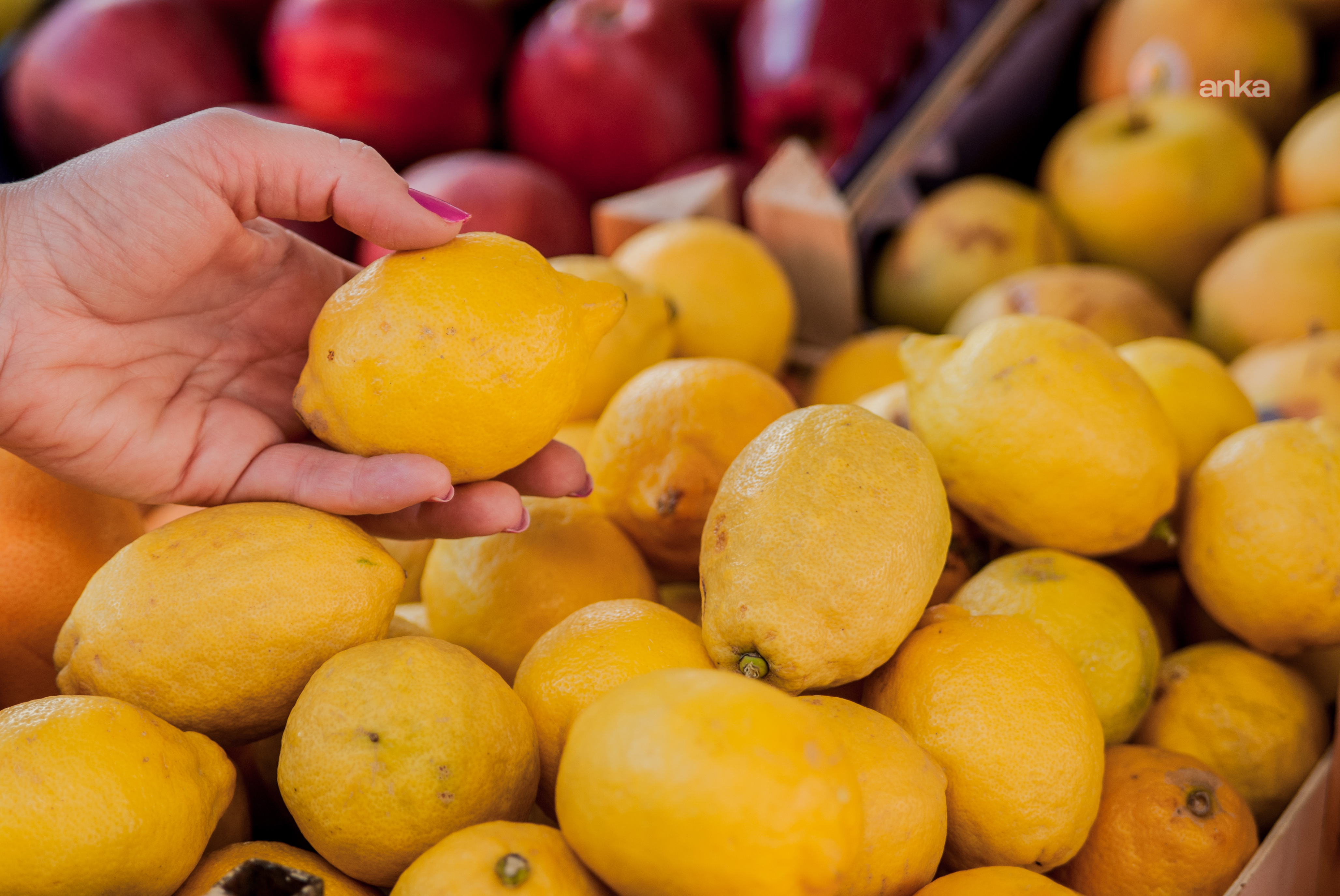 Geçen ay limonun üretici ile market arasındaki fiyat farkı yüzde 633 oldu