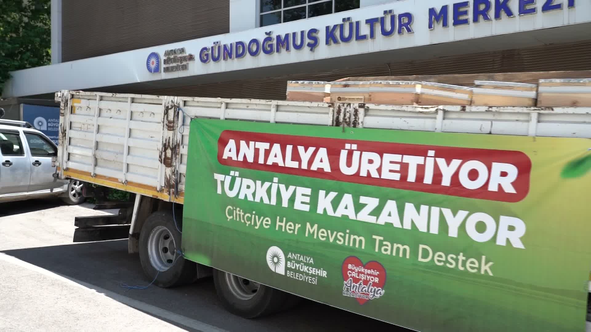 Antalya Büyükşehir'den arıcılara destek: 2026'da 4 bin 50 kovan hibe edildi