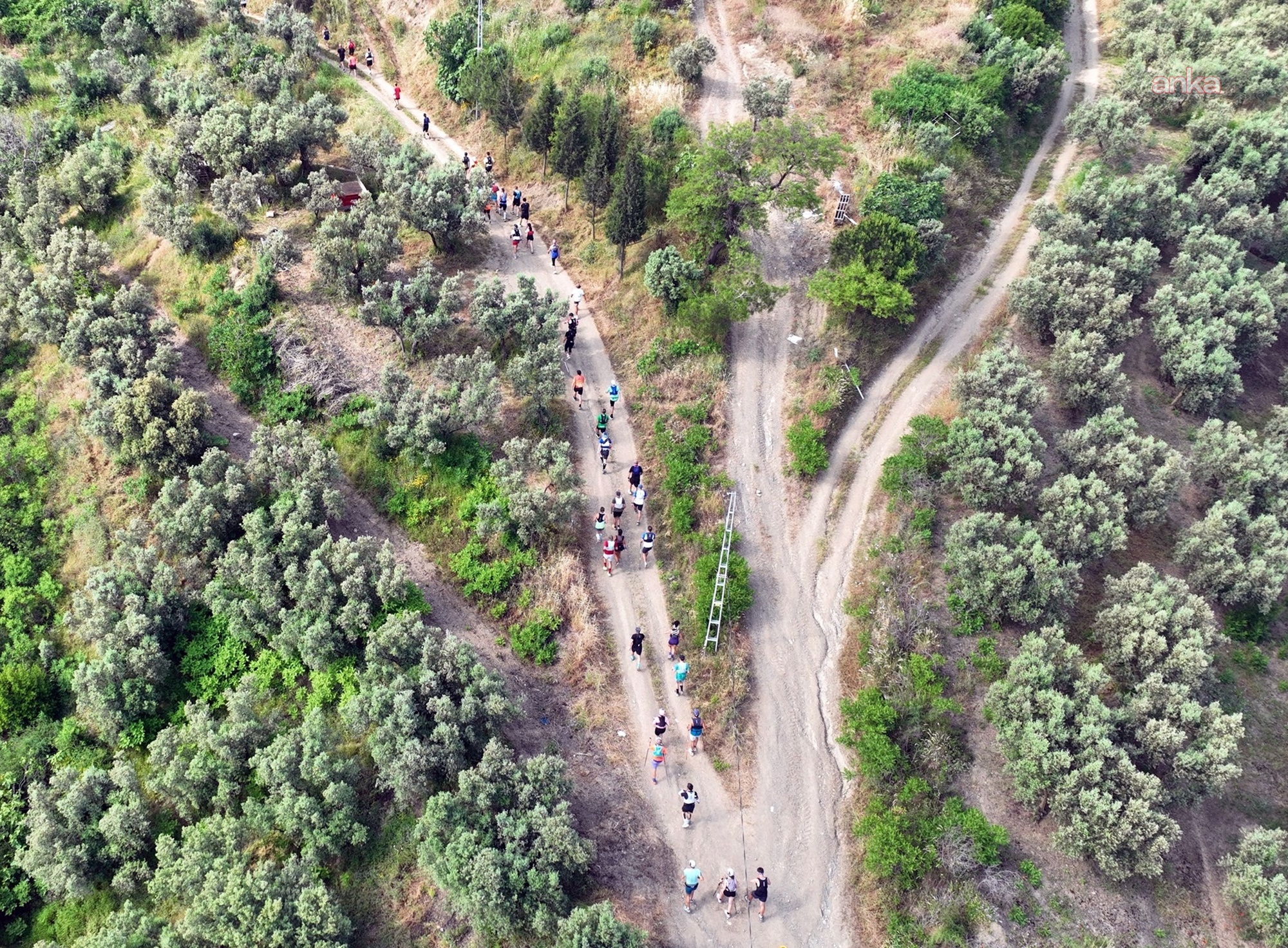 "DOCA Tirilye Ultra" koşusuna 25 şehirden bin 40 sporcu katıldı