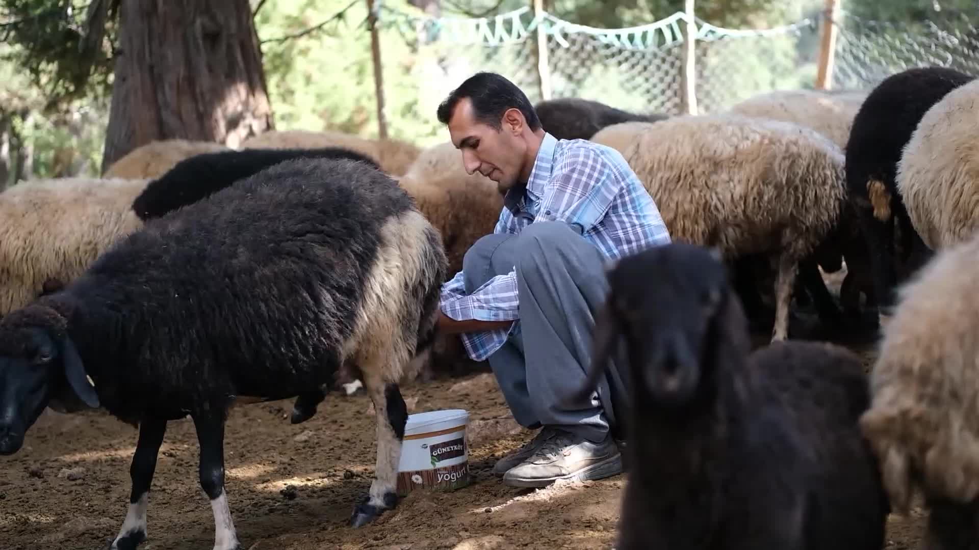 Mersin Büyükşehir Belediyesi'nden kalkınmada sürdürülebilir model: “Hadi Gel Köyümüze Destek Verelim”