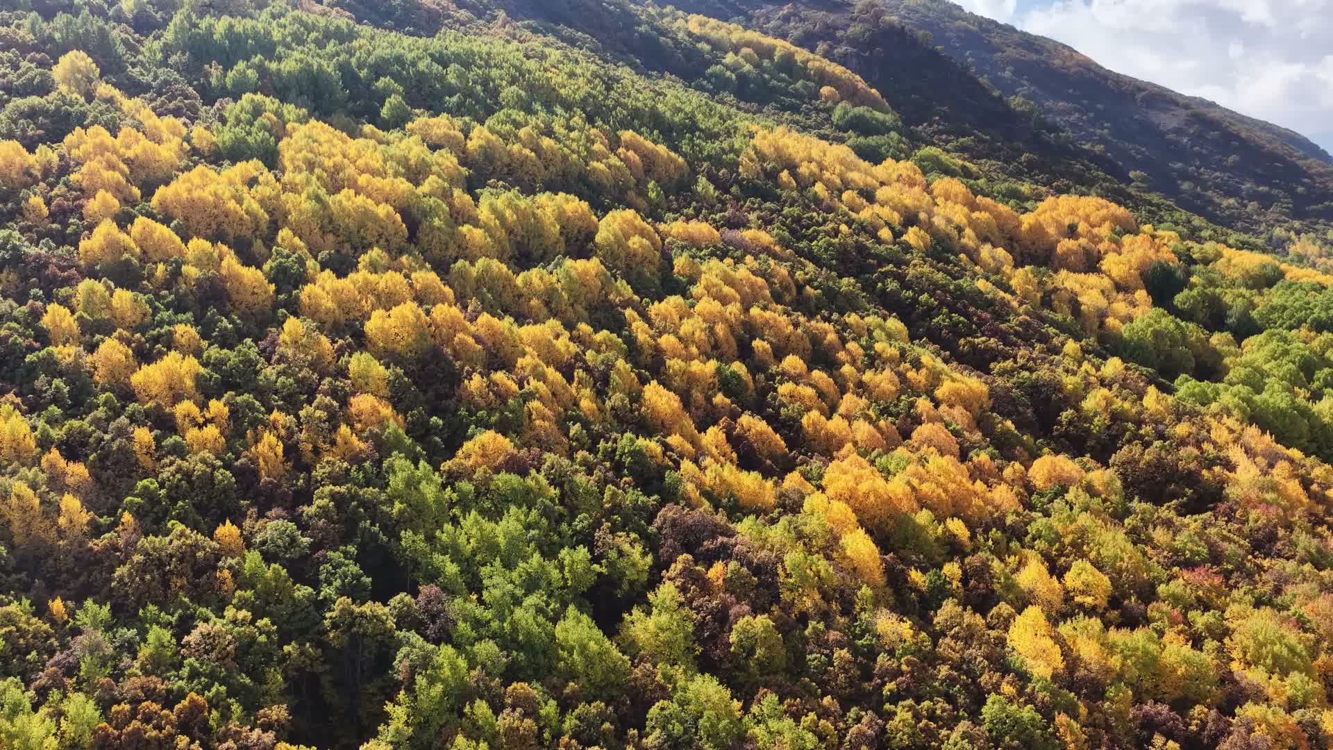Tunceli'de "yüksek gerilim hattı" protestosu: Bu yenileme değil, bu düpedüz Pülümür Vadisi’nin talan edilmesidir