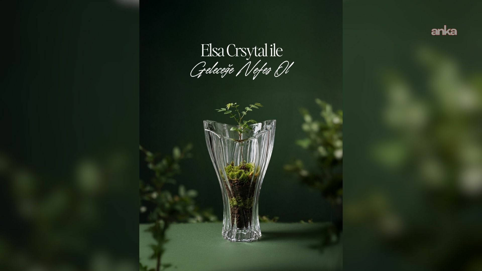Elsa Crystal’dan “Geleceğe Nefes” projesi: İlk adım 10 bin fidanla atıldı