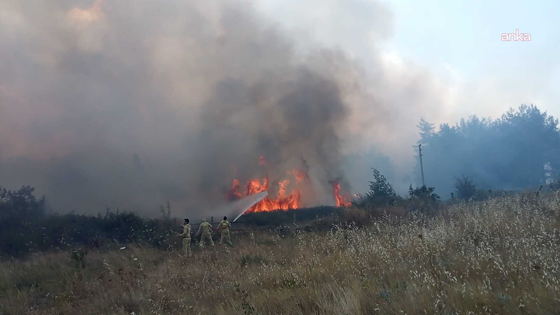 Muğla'da ormana sıçrayan yangın kontrol altına alındı
