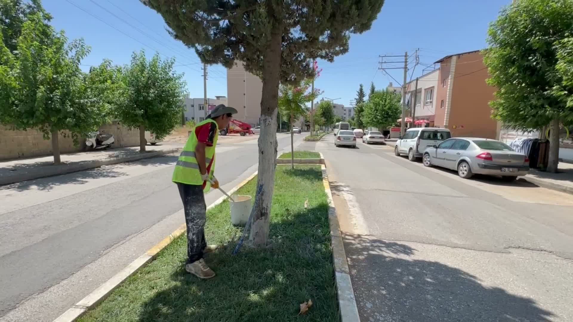 Adıyaman Belediyesi'nden ağaçlara “beyaz” koruma