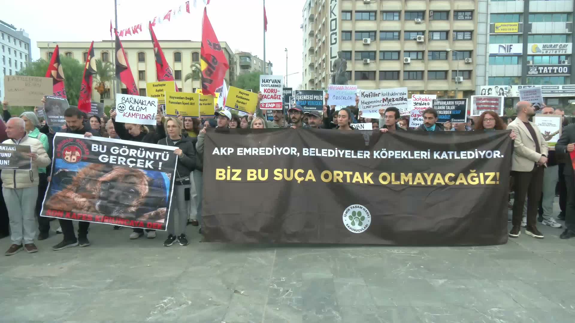 İzmir'de hayvan hakları savunucularından Ege Üniversitesi kampüsündeki köpeklerin toplatılmasına tepki