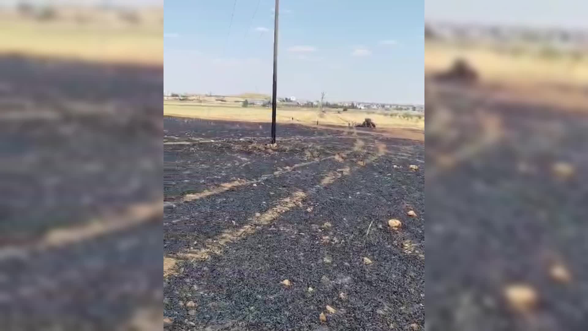 Mardin'de 40 dekar buğday ekili alan yandı