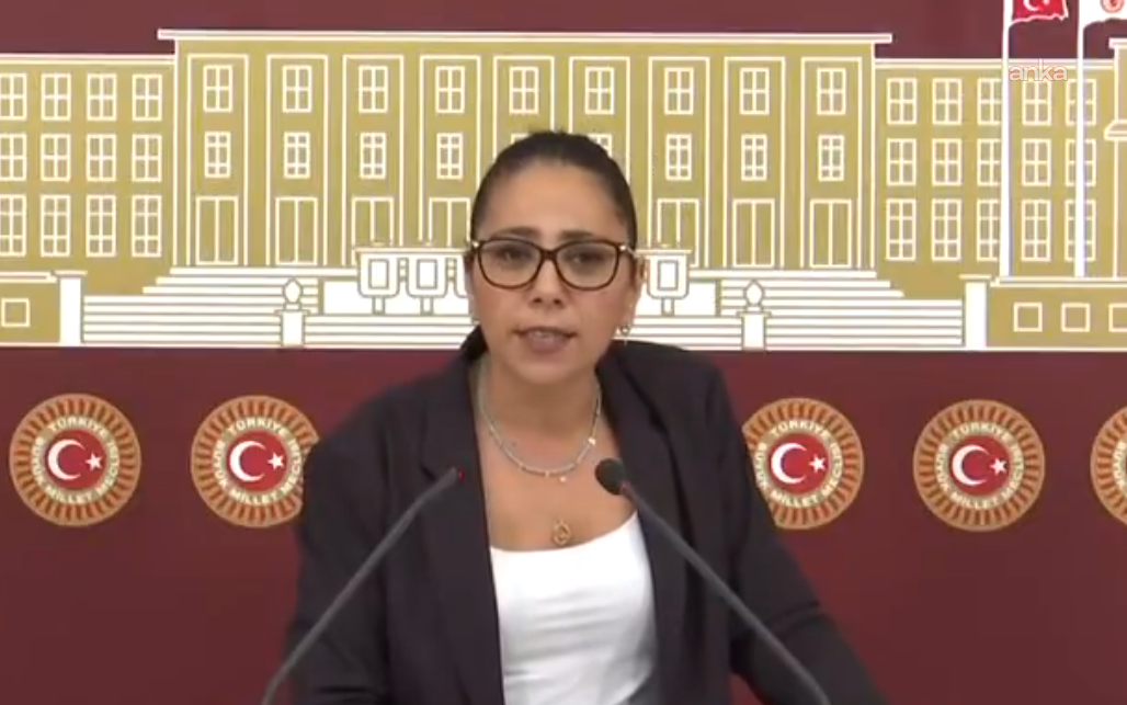 TİP Milletvekili Saliha Sera Kadıgil hakkında soruşturma başlatıldı