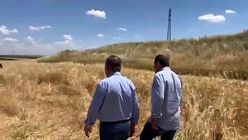 Sezgin Tanrıkulu: “TMO, çiftçinin kara gün dostu değil, sofrasındaki ekmeğin düşmanı haline dönüşmüş durumda”