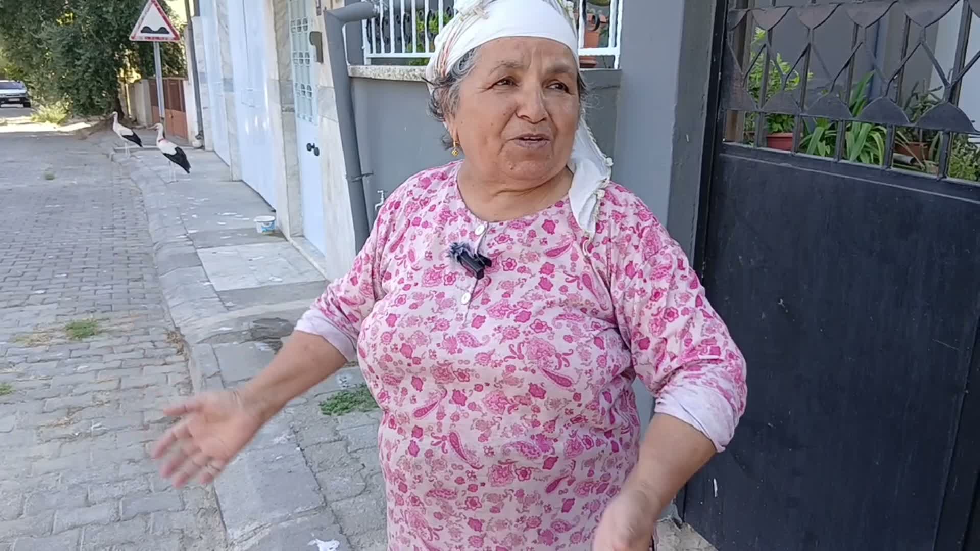 Aydınlı çift, yuvadan düşen bebeklere "annelik-babalık" yapıyor: "Sanki kendi evimizde canlı belgesel seyrediyoruz"