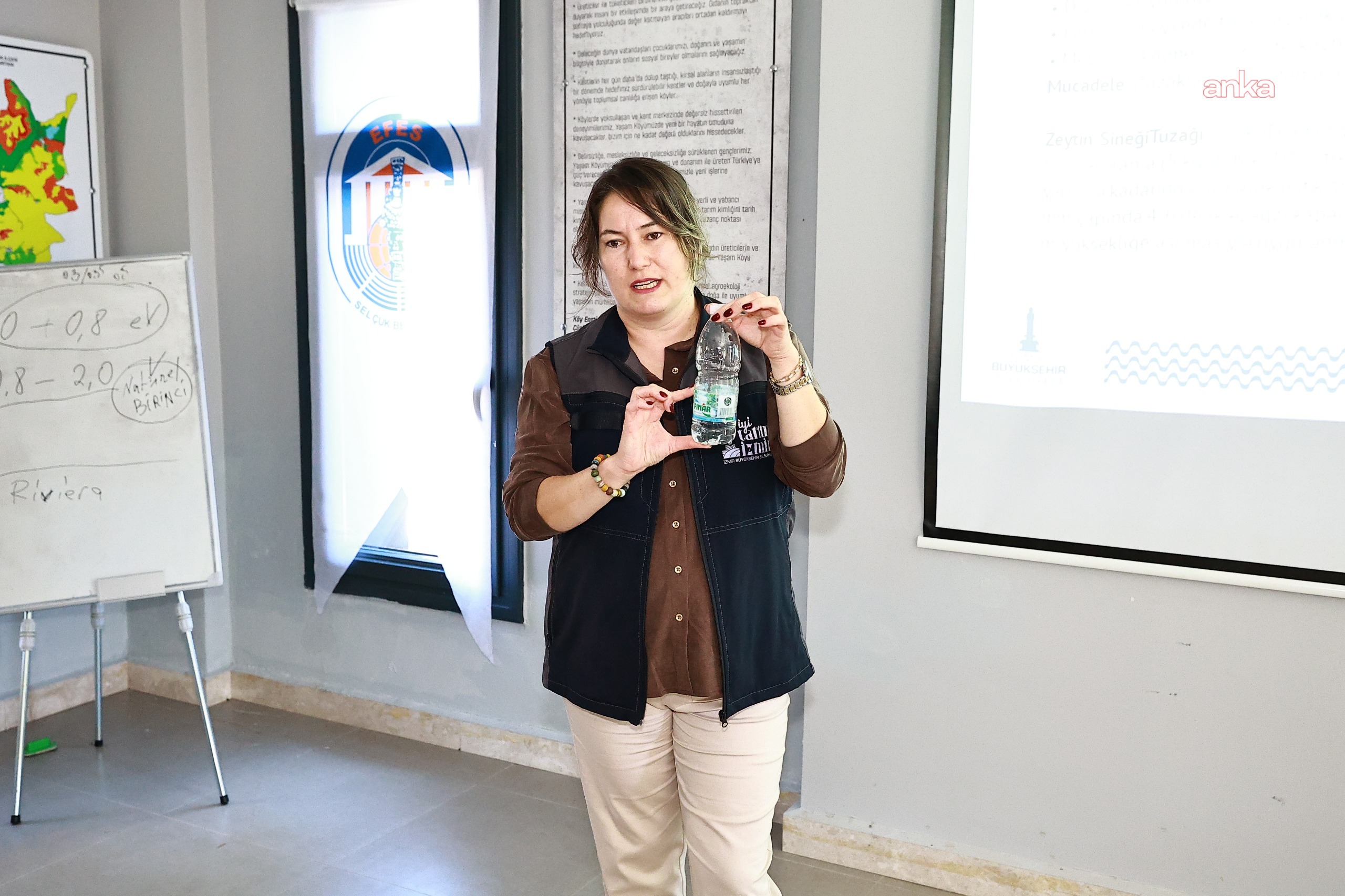 Efes Selçuk’ta zeytin üreticilerine budama eğitimi