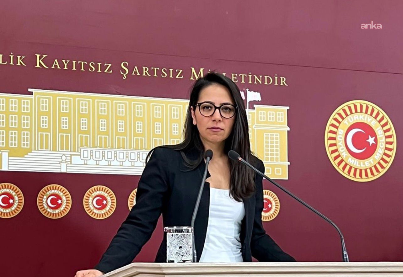 TİP'li Kadıgil, ANKA'nın İskenderun Devlet Hastanesi haberini TBMM gündemine taşıdı