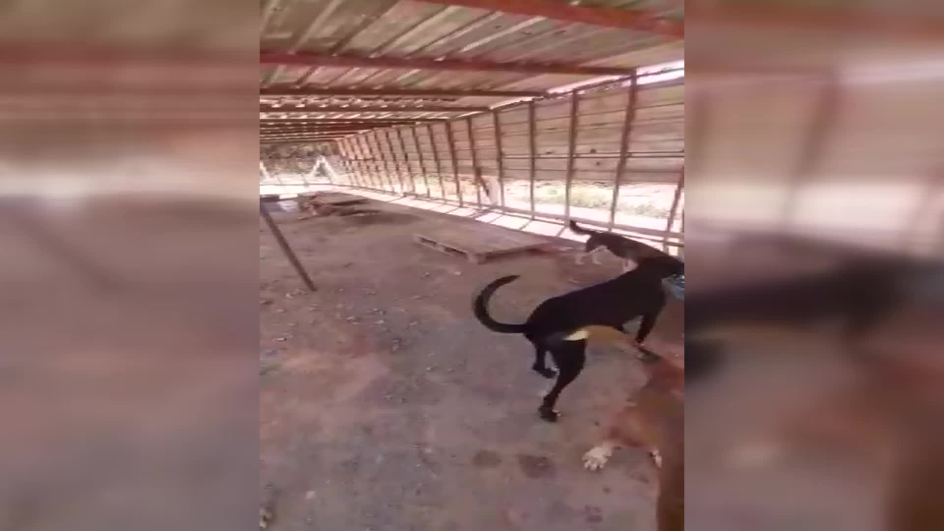 HAYTAP’TAN HAVRİTA UYGULAMASI KAPATILSIN TALEBİ: ORTAÇAĞ KARANLIĞINI ANDIRAN UYGULAMA BİR AN ÖNCE KAPATILSIN