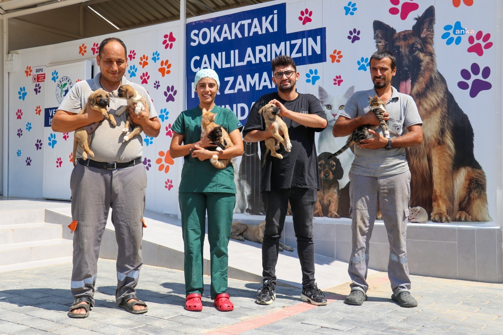 GAZİPAŞA BELEDİYESİ SOKAK HAYVANLARINI YALNIZ BIRAKMIYOR
