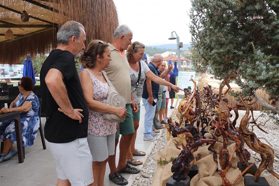 KARABURUN'DA, İLÇENİN SİMGESİ OLAN ARDIÇ AĞACI İÇİN HEYKEL SERGİSİ AÇILDI
