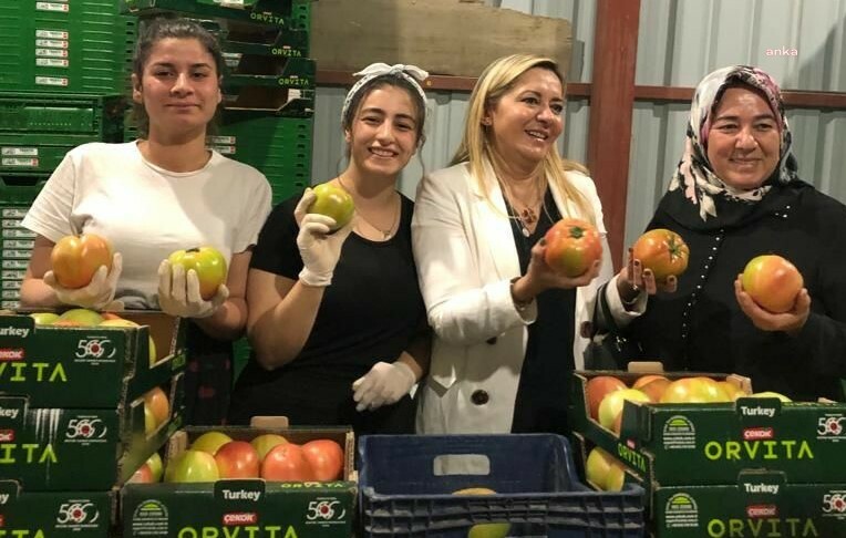 AYLİN CESUR'DAN BAKAN KİRİŞCİ'YE: "DOMATES ÜRETİCİLERİNİN UĞRADIĞI ZARARDAN BAKANLIĞINIZIN HABERİ VAR MI"