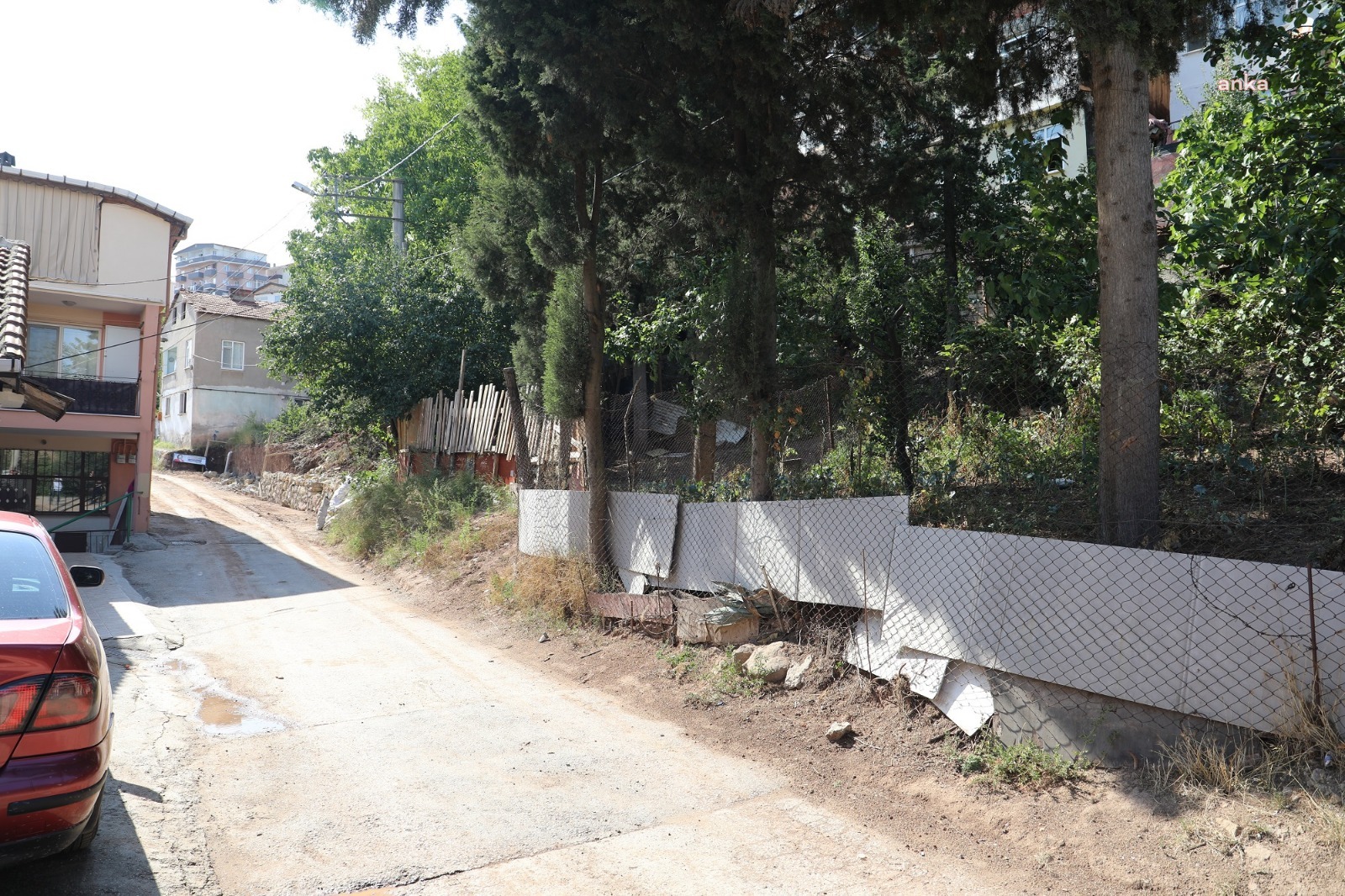 İZMİT BELEDİYESİ, YOL ÇALIŞMASI YAPTIĞI HAZAR SOKAK'TAKİ 11 AĞACI TAŞIYACAK