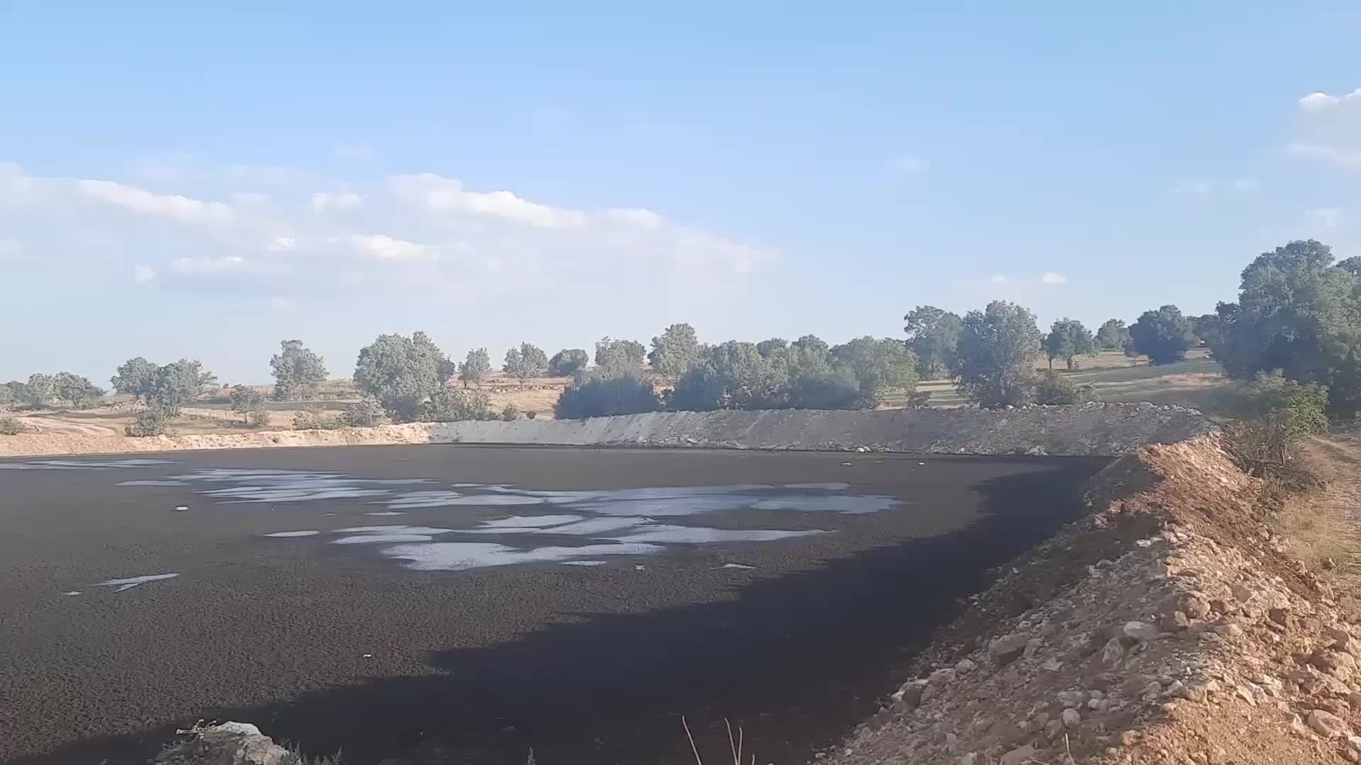 DENİZLİ GÜNEY'DE ÜZÜM BAĞLARININ ARASINA KURULAN BİYOGAZ ATIK HAVUZLARI NEDENİYLE BÖLGEYİ KOKU VE SİNEK SARDI