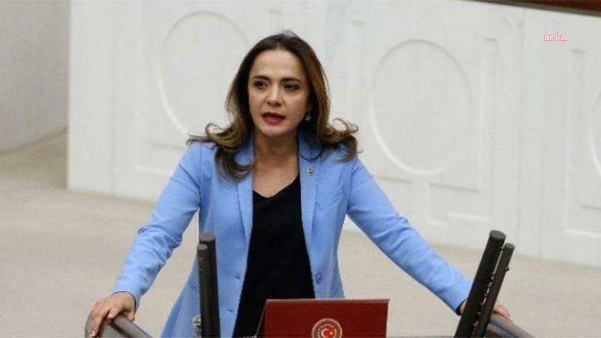 GAMZE AKKUŞ İLGEZDİ: "PROFESÖR ŞENOL, SADECE KENDİ ALDIĞI YÖNTEMLERLE Mİ, YOKSA EMNİYET GÜÇLERİ TARAFINDAN MI KORUNMAKTADIR?