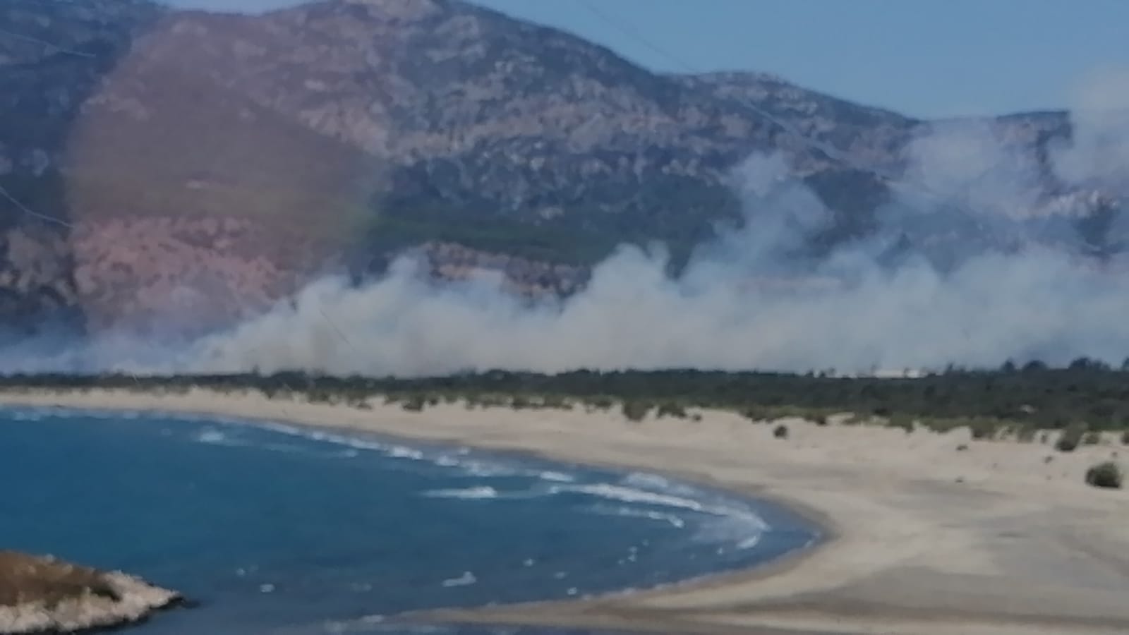 SEYDİKEMER'DE ORMAN YANGINI