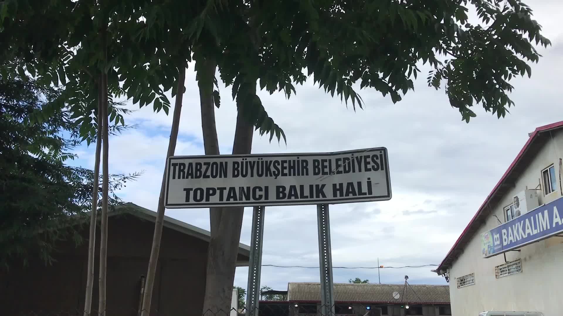 TRABZON TOPTANCI BALIK HALİ ESNAFI, ELEKTRİK KESİNTİSİ NEDENİYLE MAĞDUR OLDUU