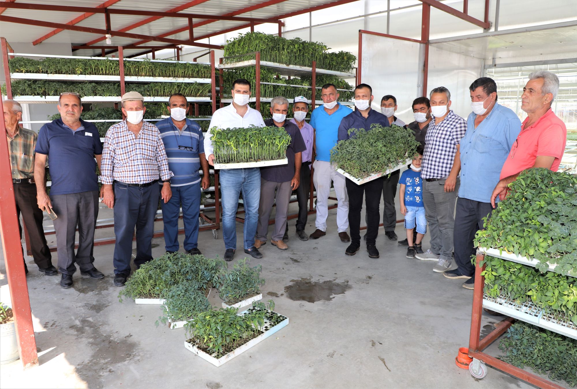 TURGUTLULU ÜRETİCİLERE 200 BİN FİDE ULAŞTIRILACAK