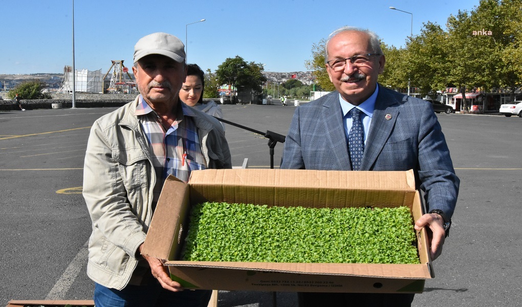 TEKİRDAĞ BÜYÜKŞEHİR'DEN, ÜRETİCİLERE FİDE DESTEĞİ