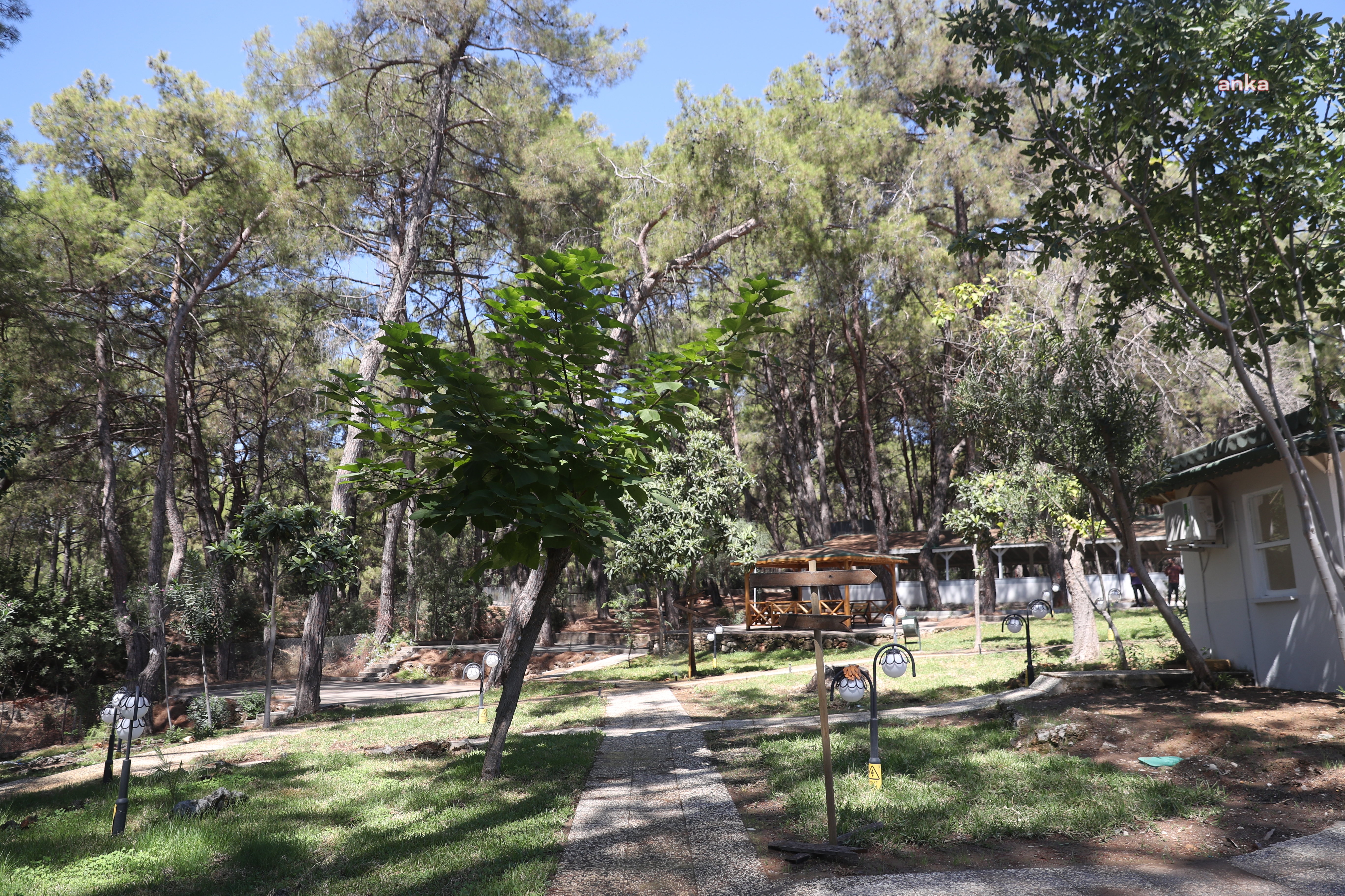 ANTALYA'DA GENÇLERİN YENİ GÖZDESİ “GENÇLİK KAMPI” OLACAK