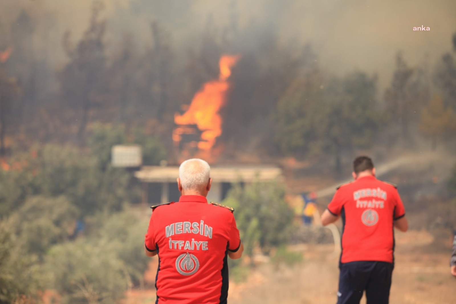 MERSİN BÜYÜKŞEHİR İTFAİYESİ, 19 ARAÇLA GÜLNAR YANGININA MÜDAHALE EDİYOR