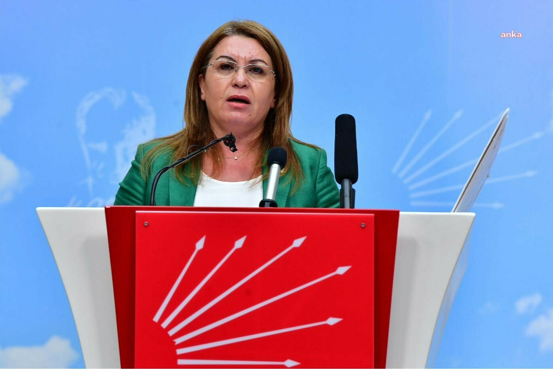 CHP, CEZAEVLERİNDEKİ SAĞLIK HAKKI İHLALLERİNİN ÖNLENMESİ İÇİN ARAŞTIRMA ÖNERGESİ VERDİ