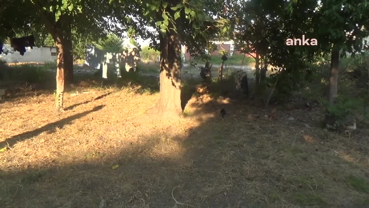 26 YILDIR TÜRKİYE’DE OTURAN ROMANYALI KADIN: "İŞ İSTİYORUM, İŞ YOKSA GİTMEK İSTİYORUM"