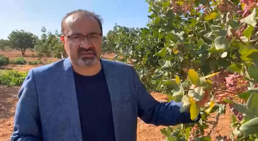 GAZİANTEP MİLLETVEKİLİ YILMAZKAYA: “DEVLET GEREKEN DESTEKLEMEYİ VERMEZSE 5-6 YIL SONRA BELKİ DE ANTEP FISTIĞINA HASRET KALACAĞIZ”