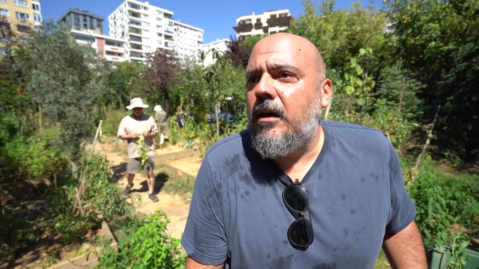 KADIKÖY BOSTANLARI’NDA HASAT BAŞLADI