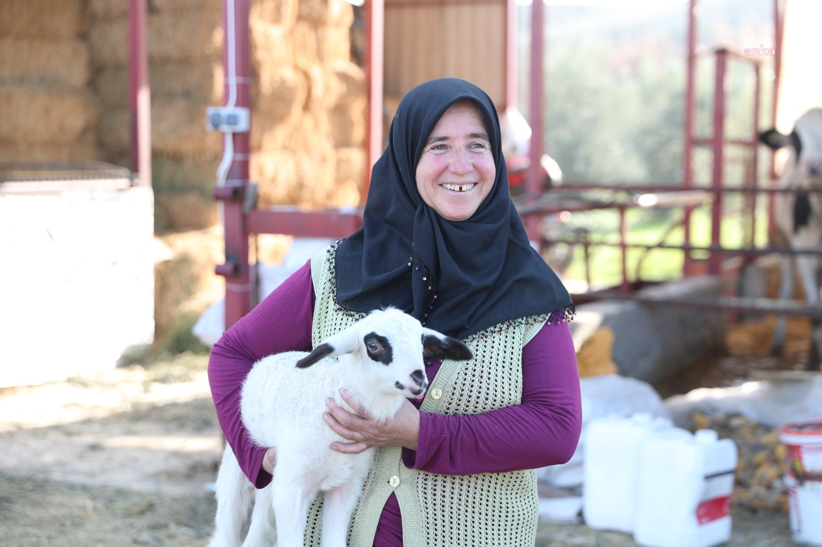 MERKEZEFENDİ’DE KÜÇÜKBAŞ HAYVAN DESTEĞİ İÇİN KAYITLAR BAŞLIYOR