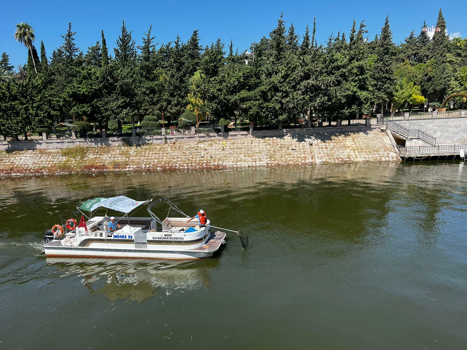 HATAY BÜYÜKŞEHİR EKİPLERİ, SU SÜMBÜLLERİNİ TEMİZLİYOR