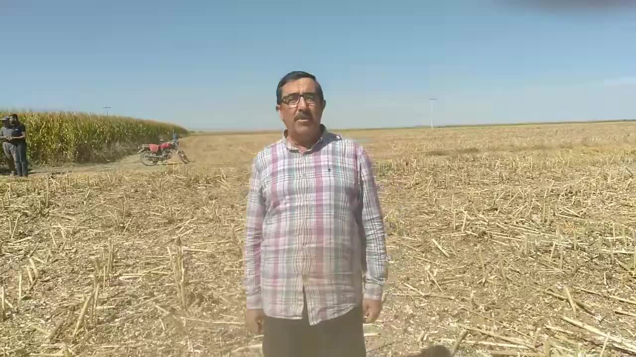 KONPADER BAŞKANI AHMET BESTİL: AYÇİÇEĞİ TABAN FİYATININ 20 LİRADAN AŞAĞI OLMAMASI GEREKİYOR. ONDAN DA VAZGEÇTİK, 12 LİRAYA SATACAK YER BULAMIYORUZ