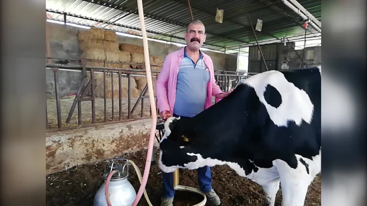 SÜT ÜRETİCİLERİ, ULUSAL SÜT KONSEYİ'NİN FİYAT ARTIRMAMASINA TEPKİLİ: "ÇİFTÇİ BU KADAR BEZDİRİLİR Mİ? ZARAR ZARAR NEREYE KADAR?"