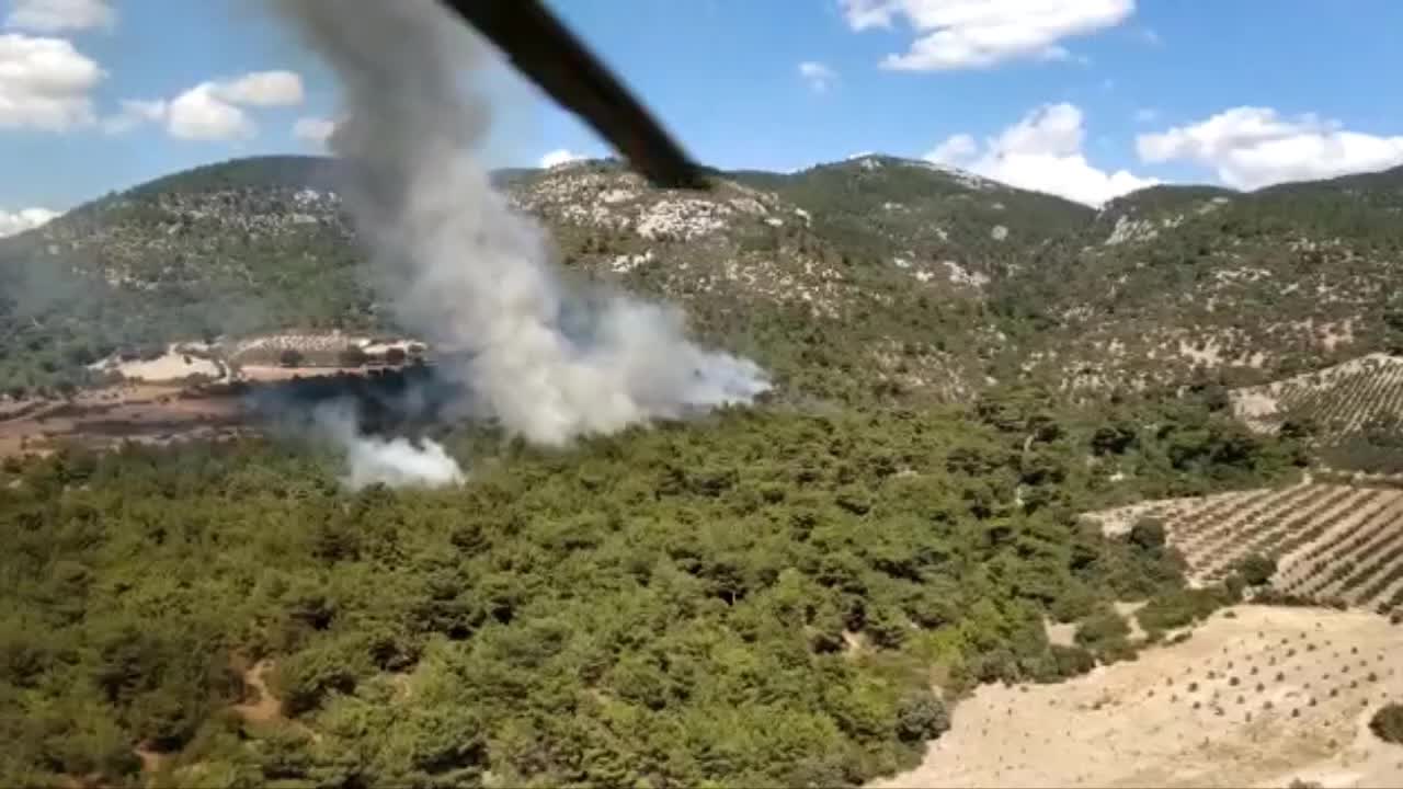 İZMİR BERGAMA'DA ÇIKAN ORMAN YANGINI KONTROL ALTINA ALINDI