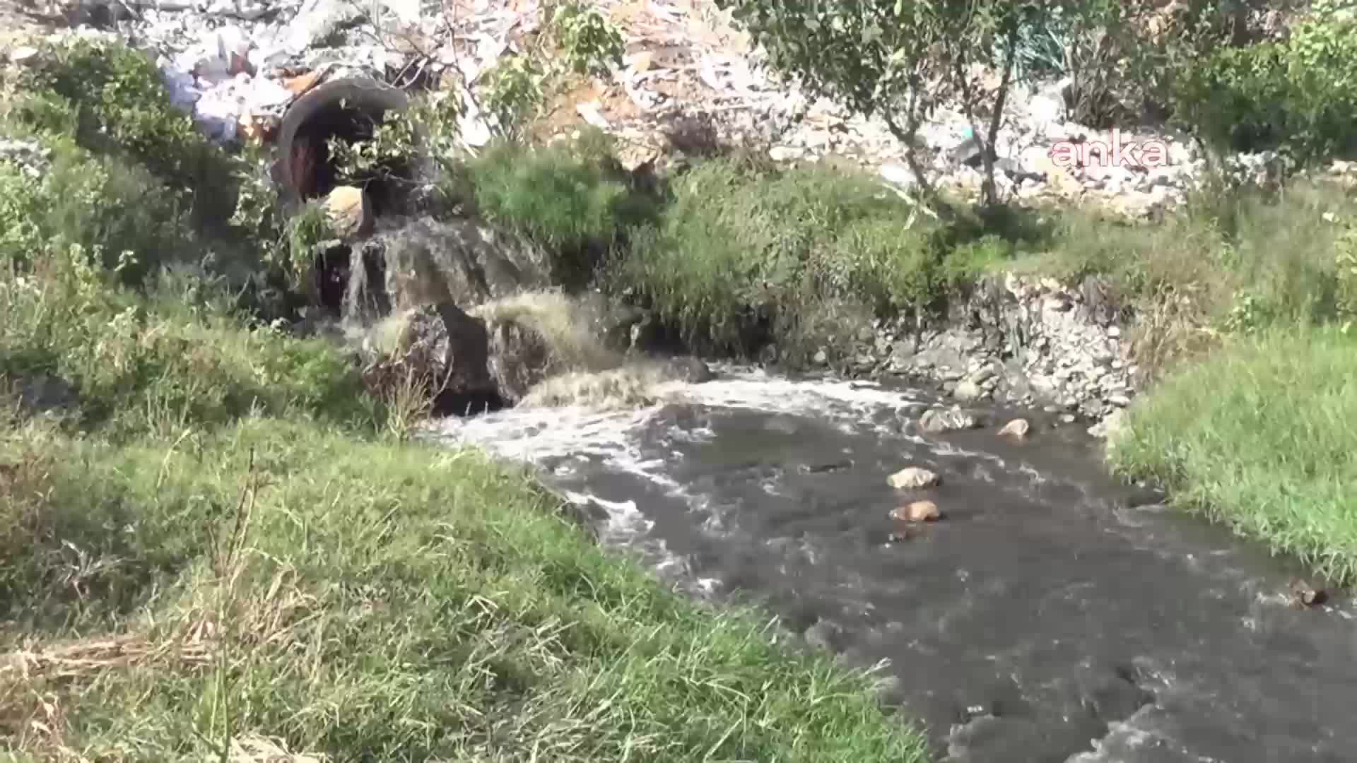 KADİRLİ’DEKİ SAVRUN ÇAYI'NA DÖKÜLEN KİMYASALLAR SUYUN RENGİNİ SİYAHA ÇEVİRDİ