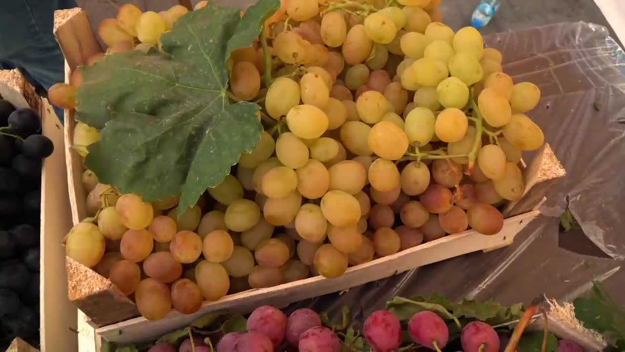 GÖKÇEALAN, OSMANCIK ÜZÜMÜ İLE ŞENLENDİ