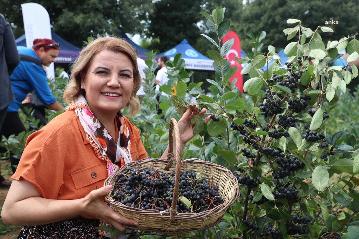 İZMİT BELEDİYESİ'NİN ARONYA FİDANI DESTEĞİ İÇİN BAŞVURULAR BAŞLADI