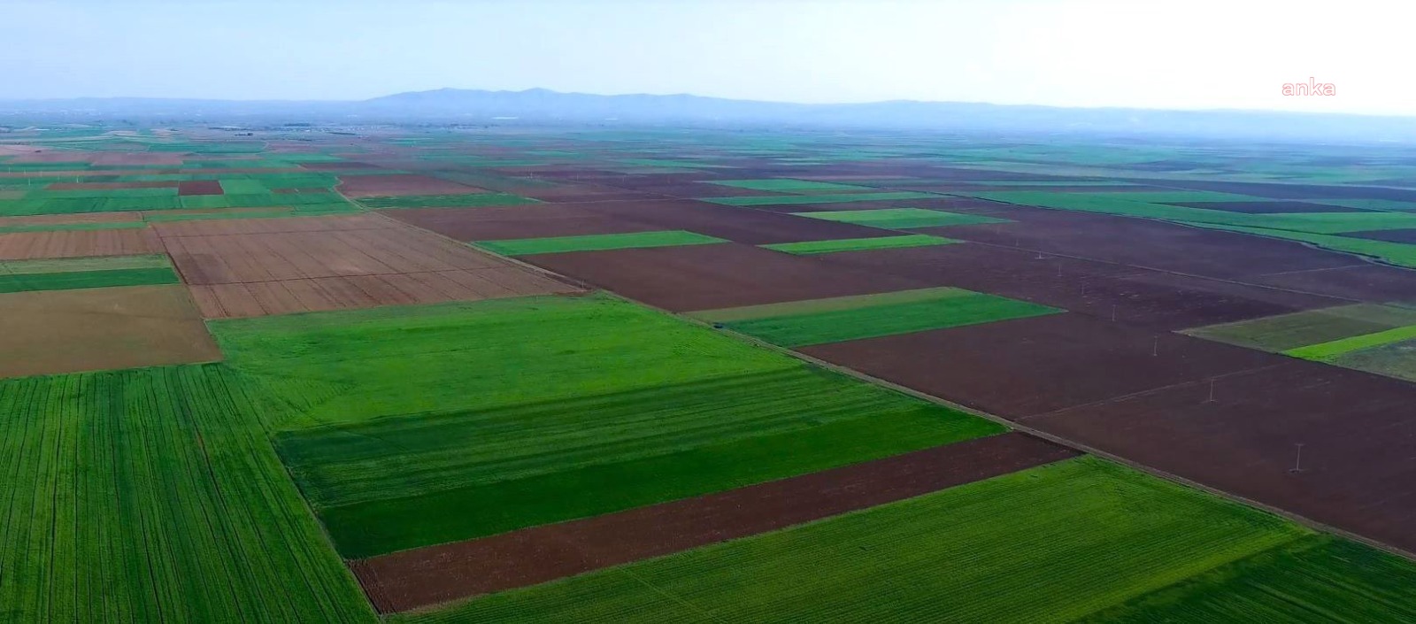 ESKİŞEHİR ALPU OVASI'NA YAPILMASI PLANLANAN URAYSİM PROJESİ’NE MAHKEMEDEN İPTAL KARARI