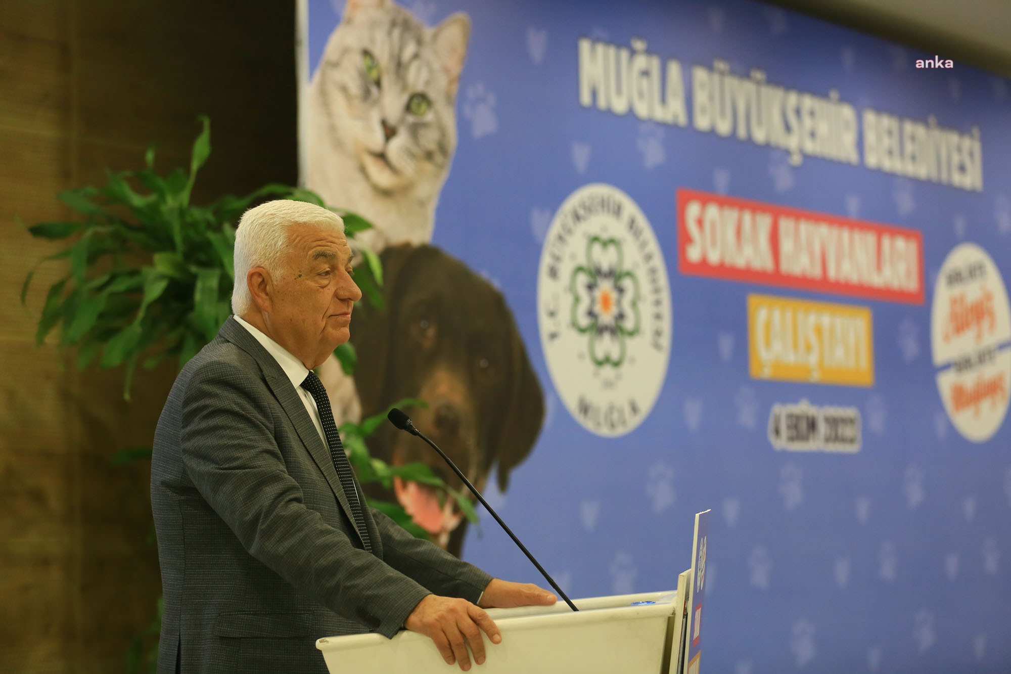 MUĞLA BÜYÜKŞEHİR’DEN SOKAK HAYVANLARI ÇALIŞTAYI