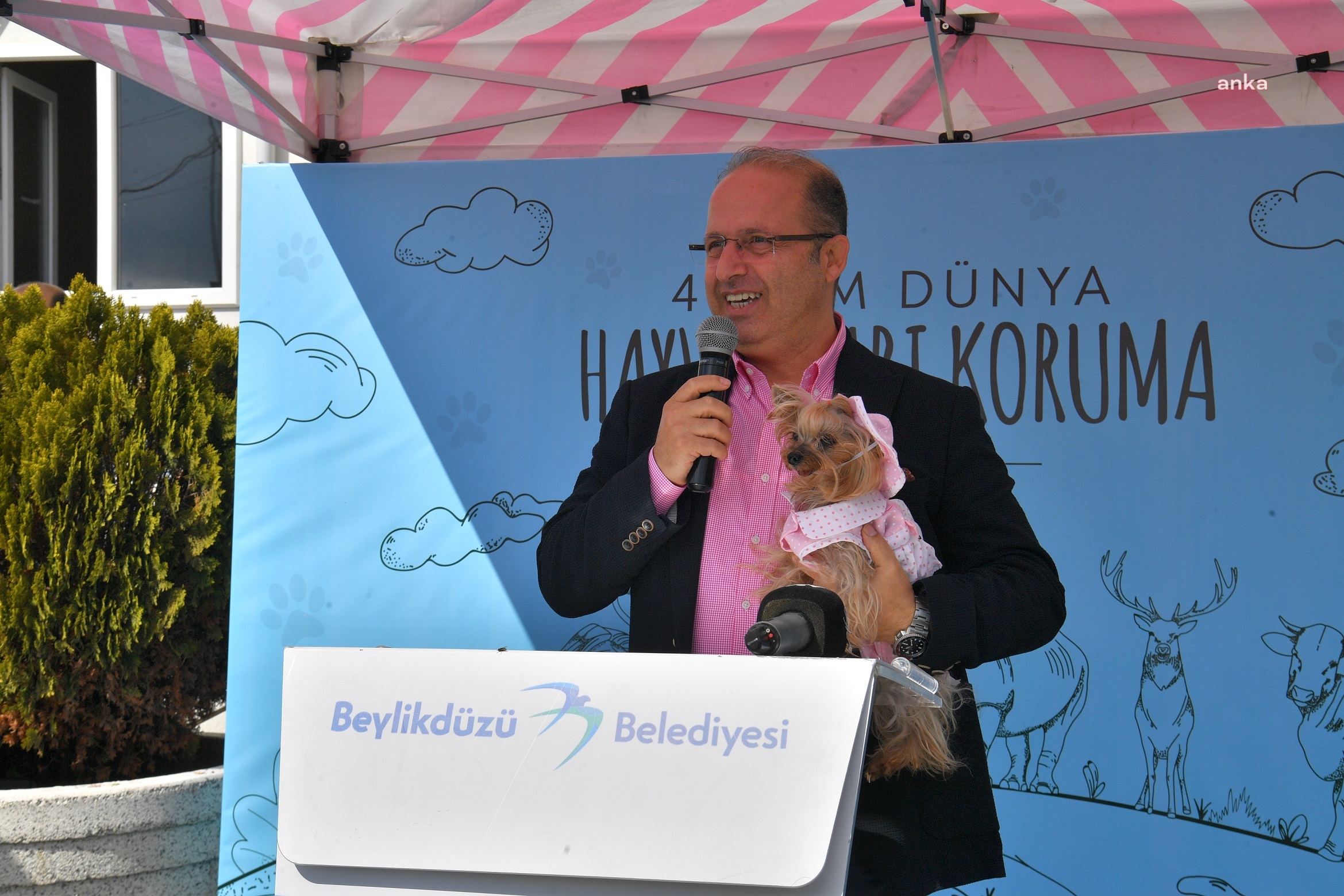 BEYLİKDÜZÜ’NDE YÜZLERCE ÖĞRENCİ 'HAYVANLARI KORUMA GÜNÜ’NDE BİR ARAYA GELDİ